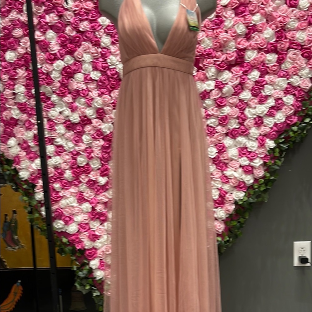 Windsor Blush Pink Open Back Maxi Gown Medium